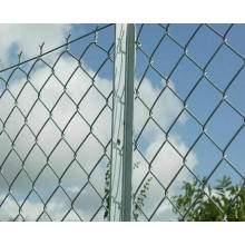 Galvanized Chain Link Fence/Diamond Wire Mesh